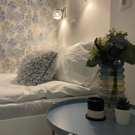 Downtown Mini Apartment ブダペスト エクステリア 写真