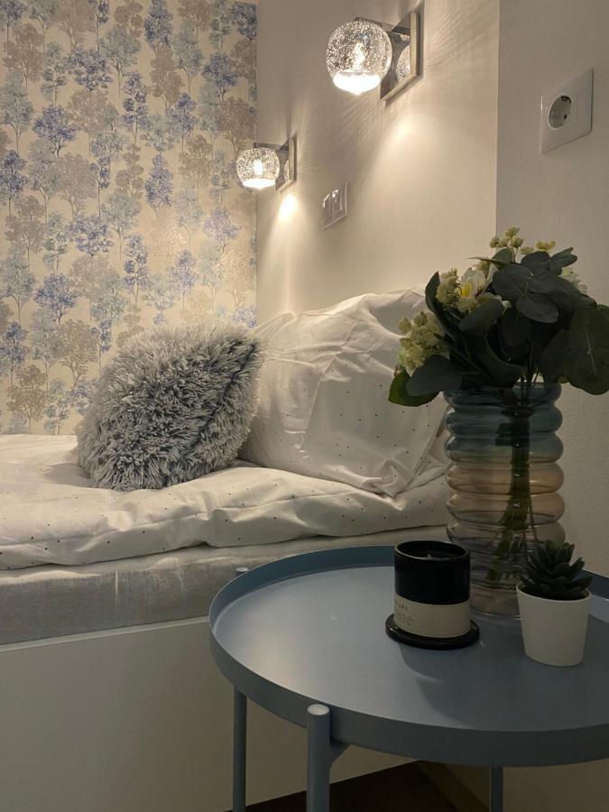 Downtown Mini Apartment ブダペスト エクステリア 写真